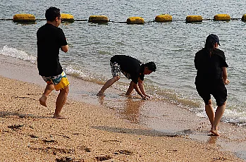 สำนักงานสภามหาวิทยาลัยพะเยา ร่วมกับกองแผนงาน จัดโครงการพัฒนาศักยภาพบุคลากร โดยการอบรมหัวข้อ “AI กับการประยุกต์ใช้ในการทำงานประจำ”